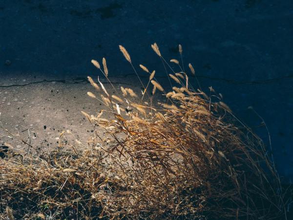 索尼Xperia Pro-I，一萬多的手機攝影作品