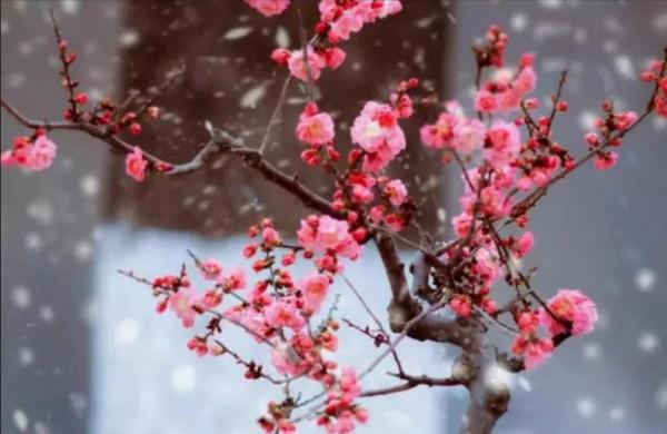 《簡談“讚美”》 《簡談“讚美”》