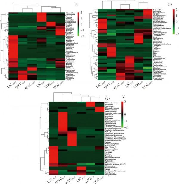 「專家視角」石油汙染土壤微生物群落分佈特徵 「專家視角」石油汙染土壤微生物群落分佈特徵