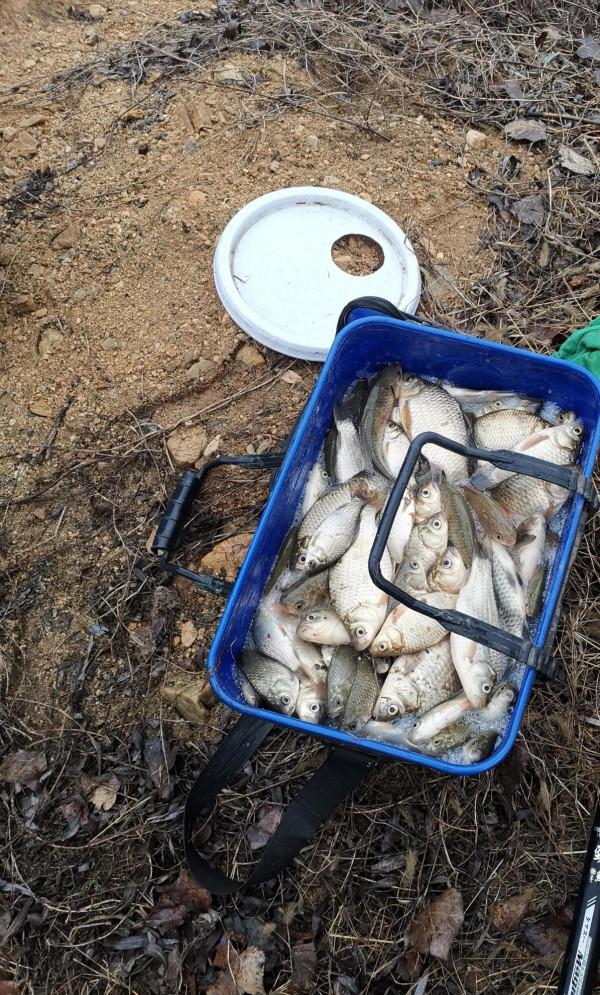 雨天釣魚不給力,果斷換地方,終於小爆護 雨天釣魚不給力,果斷換地方,終於小爆護