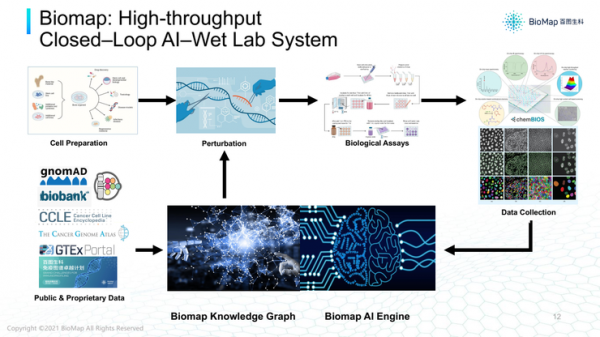 百圖生科首席AI科學家宋樂：AI，幫助製藥人逃逸“雙十”怪圈