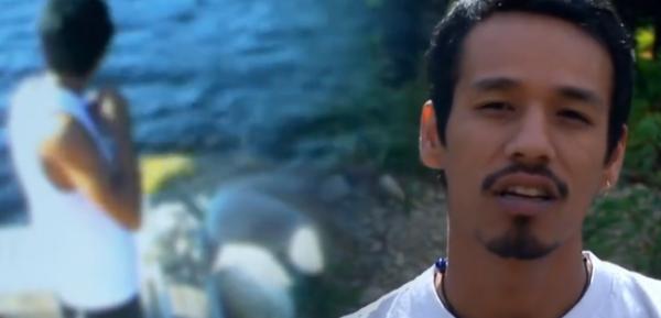 這頭虎鯨成了“萬人迷”，人們不惜罰款10萬，也要去海里和它玩耍