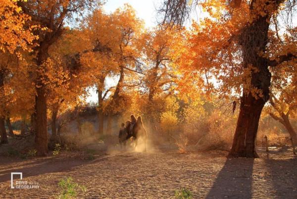 10月最火的金秋旅行集散地！英雄會再出發，奉上10條優選自駕線