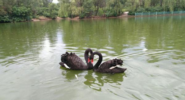 遼寧網紅景點打卡地圖——瀋陽篇