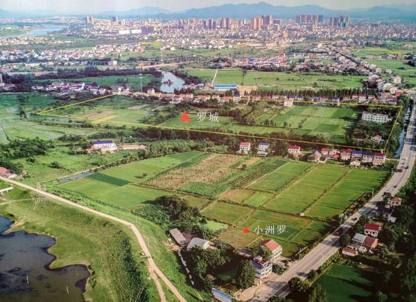 屈原、羋月、羅子國的關係網