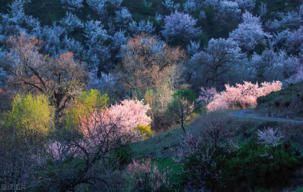 超出你想象的空中草原