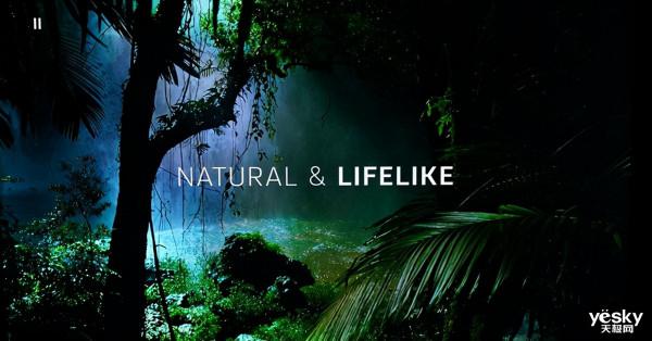 聯手天貓打造理想家 海信社交電視E52G使用體驗 聯手天貓打造理想家 海信社交電視E52G使用體驗