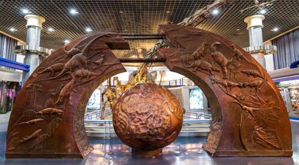 博學一“夏”|“化石”裡的故事,聽我說給你來聽…… 博學一“夏”|“化石”裡的故事,聽我說給你來聽……