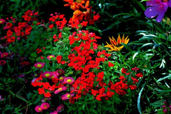 古詩詞中,";東風";、";東窗";、";東床";、";東樓";等詞有何特殊寓意? 古詩詞中,";東風";、";東窗";、";東床";、";東樓";等詞有何特殊寓意?