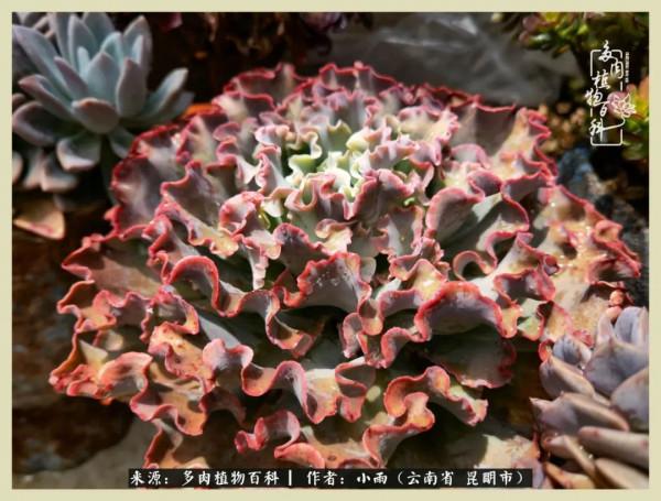 用一份熱愛，溫暖一段時光