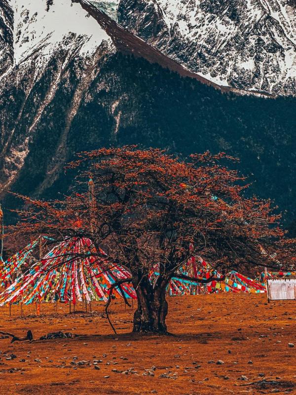 甲應·換個角度在西藏看梅里雪山