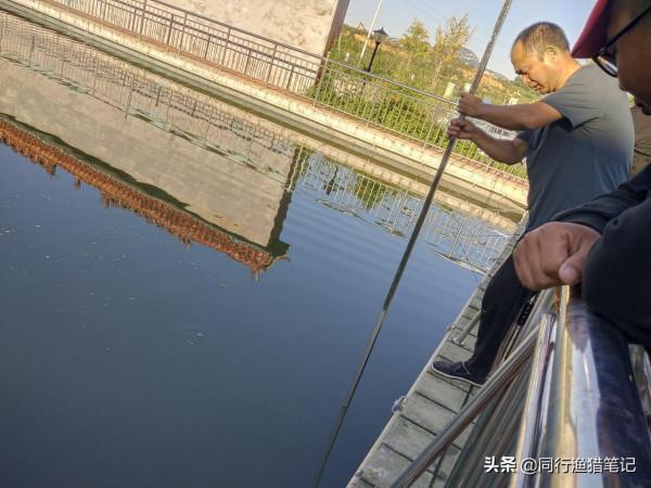 釣友手機掉水裡,魚塘老闆兩笊籬撈了上來,要價1000元 釣友手機掉水裡,魚塘老闆兩笊籬撈了上來,要價1000元