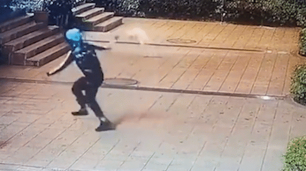 殘忍!流浪貓被外賣員狠摔4下,摔完再踩3腳!到底是什麼人虐貓? 殘忍!流浪貓被外賣員狠摔4下,摔完再踩3腳!到底是什麼人虐貓?