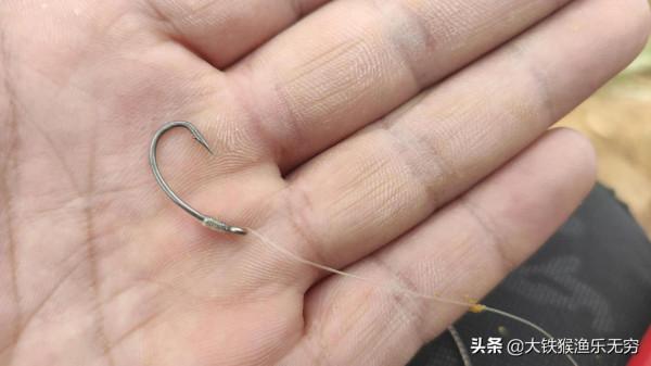 野河、一小時釣三條十幾斤的大鯉魚，這種奇葩釣法這麼神奇嗎？