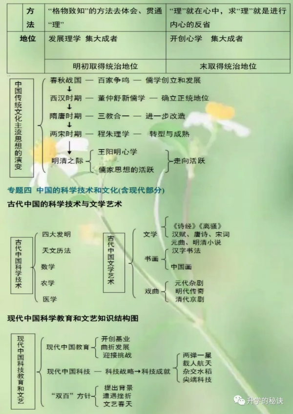 這媽媽厲害！把高中歷史匯濃縮成“25個專題”，兒子3年不扣一分