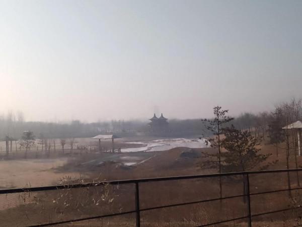 隆冬閒探動物園