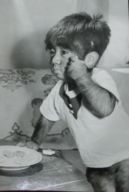 毛孩于震寰：出專輯，42歲娶90後嬌妻，他是如何走上人生巔峰的？