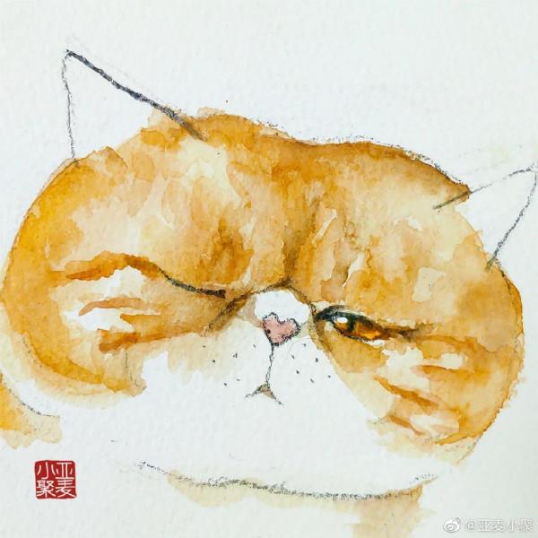 手繪水彩寫意大臉貓