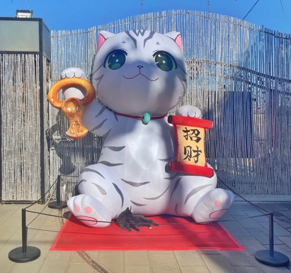 小貓咪都是怎樣&OpenCurlyDoubleQuote;爭寵&rdquo;的？