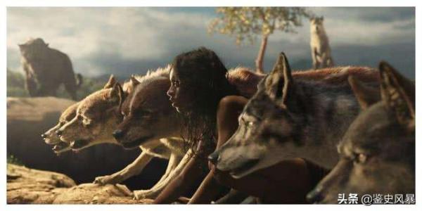 1931年,美國一科學家將小猩猩和兒子一起撫養，9個月後卻緊急叫停