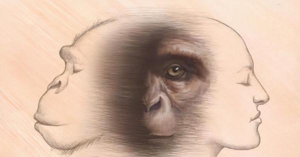 黑人基因與白人、黃種人哪個更近？基因相似度或解開人類起源之謎