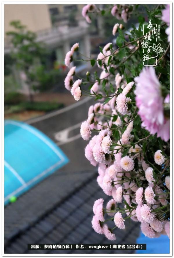 時光匆匆，一閃而逝，這世間萬物的美，都值得被記錄