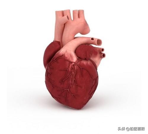 20歲的你，會選擇換53歲的心臟嗎？