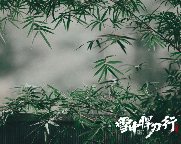 《雪中悍刀行》定檔,“全員主演”引發爭議,番位也開始內捲了? 《雪中悍刀行》定檔,“全員主演”引發爭議,番位也開始內捲了?