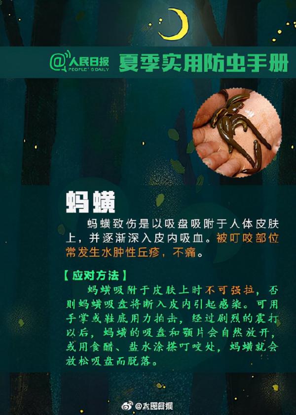 蚊子、蟎蟲、隱翅蟲……最全防蟲手冊+急救法