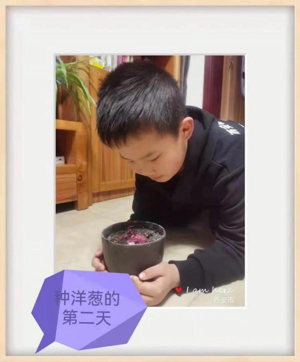 停課不停學“雙減”歡樂多植物種植小樂園（第一期）奇妙的種子