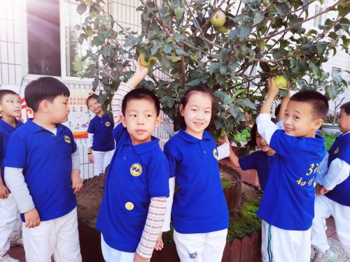 和睦路小學一年級親子團訓,小小和睦娃也有大能量 和睦路小學一年級親子團訓,小小和睦娃也有大能量