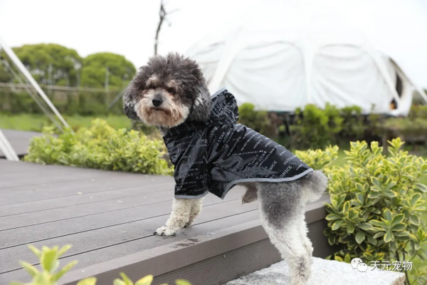 好的狗雨衣應該是什麼樣子的? 好的狗雨衣應該是什麼樣子的?