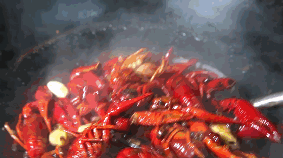 “小龍蝦會疼，活蒸太殘忍”以後做麻辣小龍蝦只能一隻只電死了