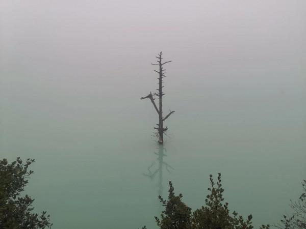 人間仙境——玉龍雪山之藍月谷