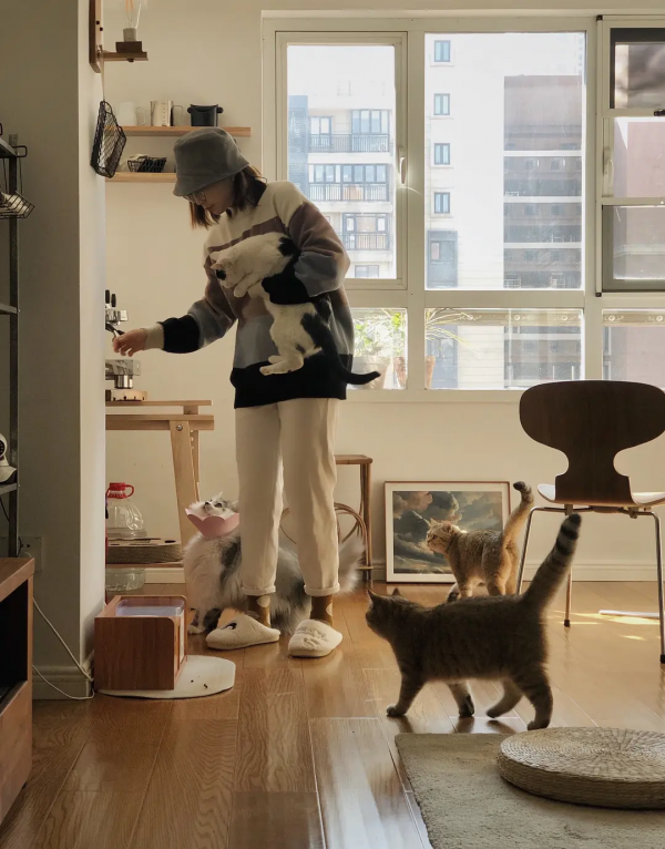 分享3貓2人住了五年滿當當的家 分享3貓2人住了五年滿當當的家