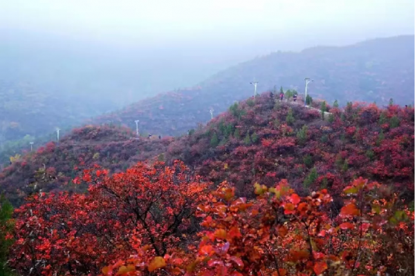 11月份“愛在深秋”,京郊這些人少景美的地方藏著秋天的愛 11月份“愛在深秋”,京郊這些人少景美的地方藏著秋天的愛