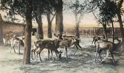 舉辦貿易博覽會、發行有獎彩券……民國時先農壇的奇觀異景