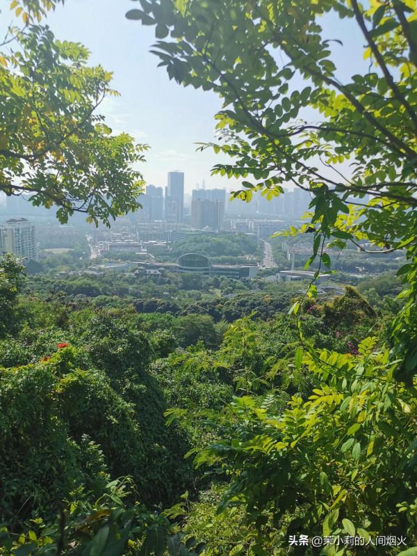 塘朗山&plus;深雲谷，我一天連爬這兩座山，也是沒誰了