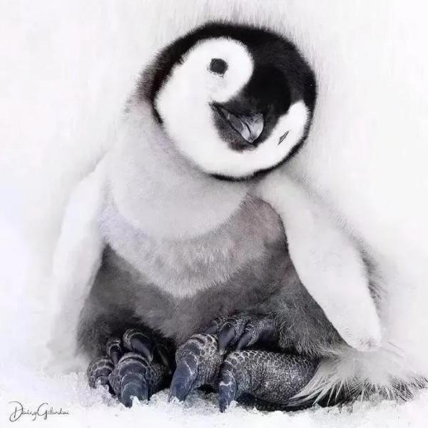 脖子有點歪歪的