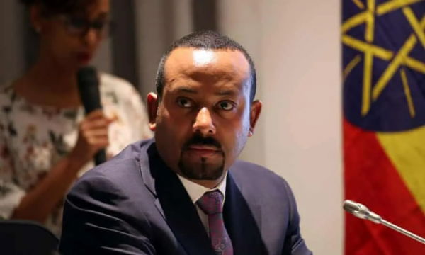 衣索比亞往事，參天大樹難結果