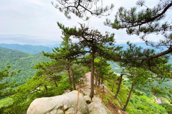 霍山有一處秘境,因漢武帝的一場夢而得名,享有“小黃山”的美譽 霍山有一處秘境,因漢武帝的一場夢而得名,享有“小黃山”的美譽
