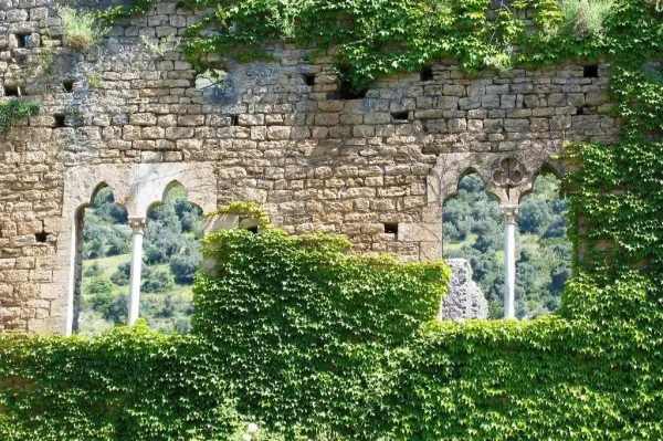 紐約時報評選最美花園榮歸義大利 被譽為伊甸園的寧法花園 紐約時報評選最美花園榮歸義大利 被譽為伊甸園的寧法花園