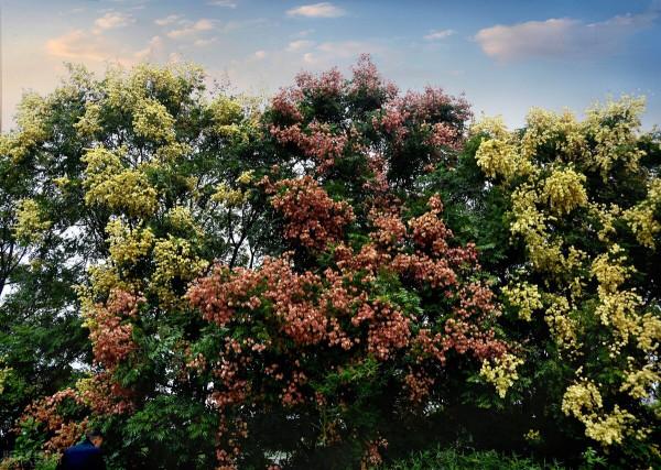 老倆口被迫住窩棚，兩個兒子卻相互推諉，老人多年前都做了什麼？