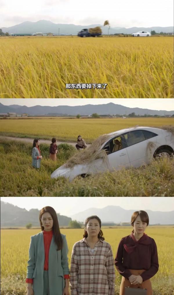 全員演技線上！越看越搞笑，熬夜刷完全集