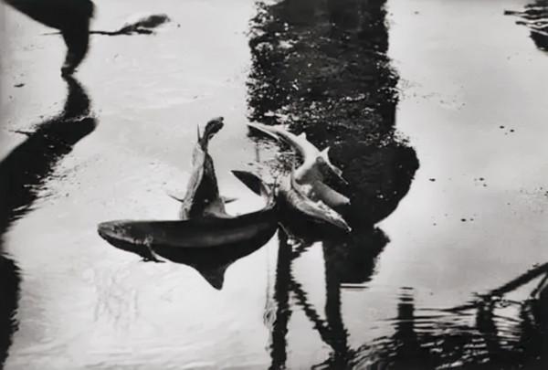 97年，兩滴液體落在化學家卡倫的手套，進醫院3周深度昏迷致身亡