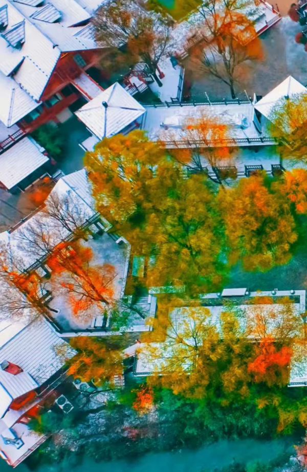 再不去看就晚了！山東6個小眾又絕美的賞蘆勝地，濃縮了整個冬日的浪漫！