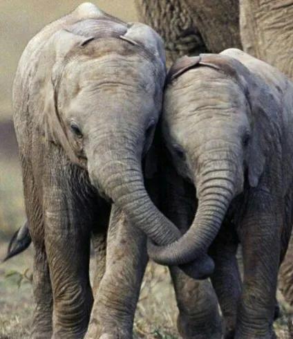 冬天雖冷,因為有你相擁而溫暖 冬天雖冷,因為有你相擁而溫暖