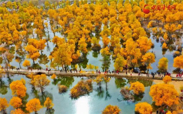 2021年甘肅版旅行日曆來了，對的時間去對的地方