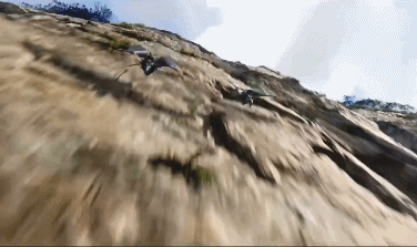 2022年新片預鑑！阿凡達2，壯志凌雲2，碟中諜7，海王2，雷神4