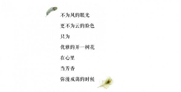 我的傳家寶 我的傳家寶